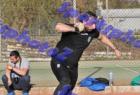 ripseis_532