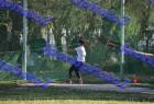 ripseis_556