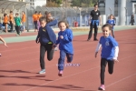 DSC_6498