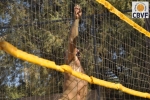 2DSC_0218