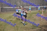 DSC_4553