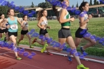 DSC_6434