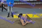 SEF1DSC_8460