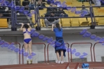 SEF1DSC_8462