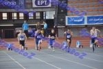 SEF1DSC_8536