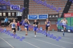 SEF1DSC_8537