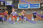 SEF1DSC_8586