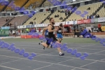 SEF1DSC_8633