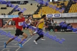 SEF1DSC_8695