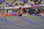 SEF1DSC_8822