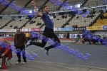 SEF1DSC_8999