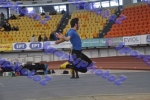 SEF1DSC_9017