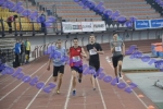 SEF1DSC_9096