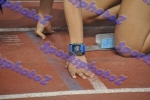 SEF1DSC_9331