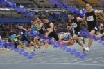 BDSC_0007