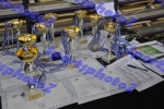 BDSC_0012