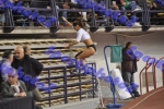 BDSC_0013
