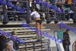 BDSC_0014
