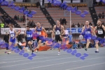 BDSC_0019
