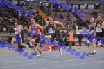 BDSC_0020