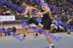 BDSC_0024