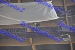 BDSC_0048
