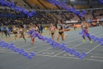 BDSC_0053