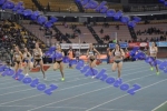 BDSC_0081