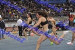 BDSC_0085