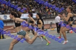 BDSC_0086