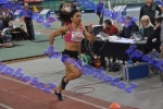 BDSC_0209