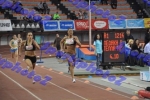 BDSC_0239