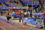 BDSC_0240