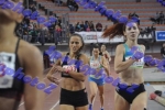 BDSC_0261