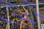 BDSC_0312
