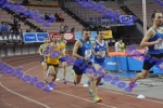 BDSC_0353