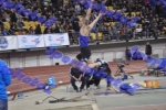 BDSC_0430