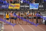 BDSC_0456