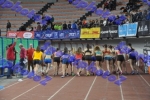 BDSC_0457