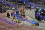 BDSC_0481