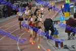 BDSC_0485