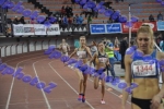 BDSC_0535