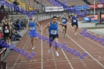 SEF2DSC_1106