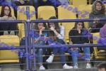 SEF2DSC_1193