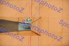 SEF_A_DSC_6062