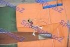 SEF_A_DSC_6150