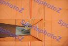 SEF_A_DSC_6210