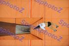SEF_A_DSC_6216