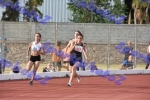 aDSC_9811