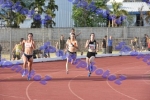 aDSC_9851